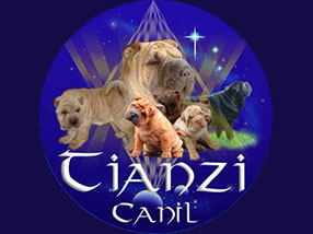 Canil Tianzi